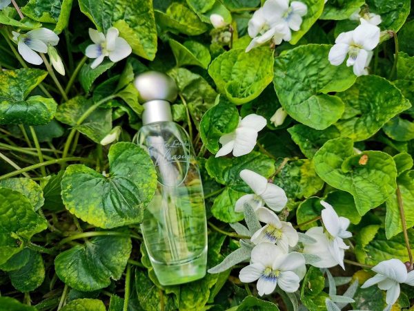 عطر Estée Lauder Pleasures EDP 30ML - Image 5