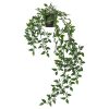 نبات صناعي - IKEA - Image 6