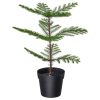 نبات صناعي - IKEA - Image 4