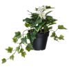 نبات صناعي - IKEA - Image 4