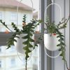 نبات صناعي - IKEA