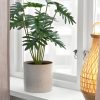نبات صناعي - IKEA