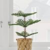 نبات صناعي - IKEA
