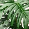 نبات صناعي - IKEA - Image 2
