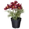 نبات صناعي - IKEA - Image 3