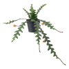 نبات صناعي - IKEA - Image 2