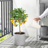إناء سقي 1.2 لتر - IKEA - Image 4