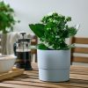وعاء نبات - IKEA