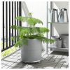 وعاء نباتات - IKEA - Image 5