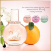 عطر GLORIA VANDERBILT MISS VANDERBILT 100ML EDT - Image 3
