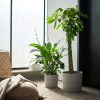 وعاء نباتات - IKEA - Image 4