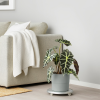 وعاء نبات - IKEA - Image 3