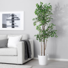 نبات صناعي  - IKEA - Image 4